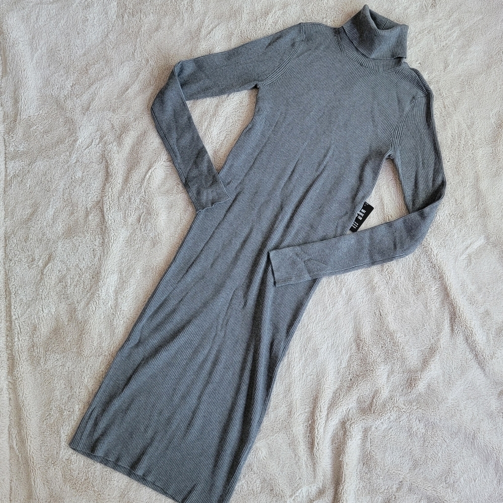 Express Turtle Neck Dress